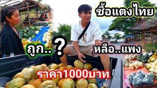 เหมาแตงสุก หมดร้านเมือขาย ลุ้นจะขาดทุนหรือได้กำไร