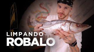 LIMPANDO ROBALO: como preparar o peixe branco | Como fazer Sushi