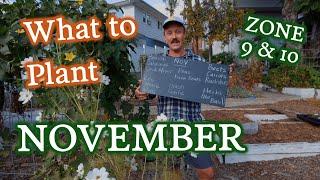 What to Plant in November for Gardeners in Zones 9 & 10