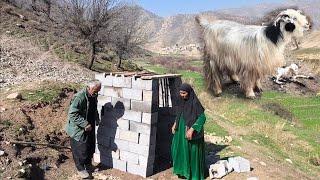 Nomadic life A day's work for Gol Mohammad and Shirin. Natural childbirth of goats