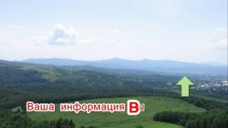 Работа в интернете с выводом денег