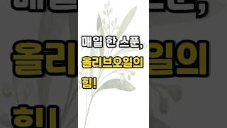 매일 한 스푼, 올리브오일의 힘! #건강정보 #건강식 #꿀팁