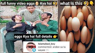 eggs Kya hai full details ki sath bata diya aisa funny video kabhi nahi dekhe hogi #funny #comedy