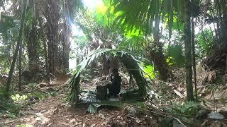 Survive 365 days in the Amazon bushcraft forest build a tree house to rest, relax and cook