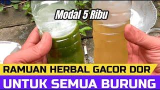 Ramuan Dari Bahan Herbal Bikin  Gacor Dor Maximal, UNTUK SEMUA BURUNG