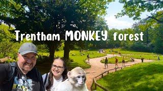 Trentham Monkey Forest | Stoke on Trent