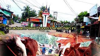Intip Pasar Tradisional Muaro Paneh di Tahun ini | Pedesaan sumatera barat