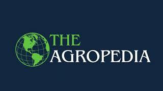 The Agropedia || Logo