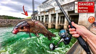 I Hooked a MONSTER Fish at the Spillway **INSANE End to the Day**