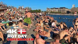 HOT DAY  On Kalvebod Brygge Harbor Beach | 4k Copenhagen Denmark ️ Beach Walk | Sep 2023