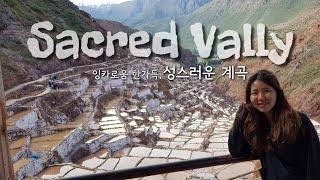 잉카에 스며들다.. 당일치기 성스러운 계곡 투어 One-day Sacred Vally 성계투어 페루여행 꿀팁 알려드려요