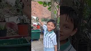 yunus goes to other aunties new beautiful garden#funny #cute #