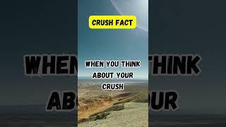 CRUSH FACT: Your brain loves love #crush #brainchemistry #love #facts #brain #psychology