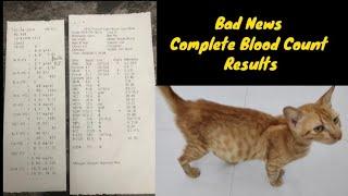 Bad news from Riyon's Complete Blood Count (CBC) results @lilyivo