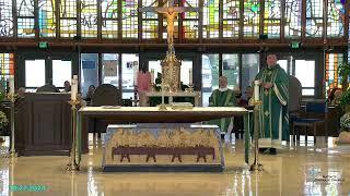 Nativity Catholic Church Live Stream