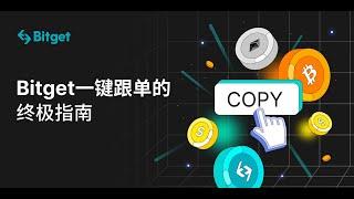 bitget交易所与bybit交易所跟单实盘测试，bitget交易所完胜，优势到底在哪里？