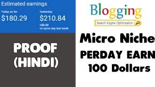 Earn Daily 100$ From Micro Niche Blogging Explained In Hindi