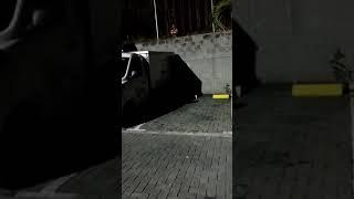 FANTASMA EN CEMENTERIO: captaron una mujer aterradora en panteón de Colombia