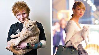 10 Celebrities With Their SPECIAL Cats