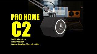 Pro Home C2 Studio Microphone Screen Acoustic Sponge Soundproof  Filter Review (eyeball kaotica)