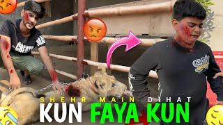 Lion Attack  | shehr main dihat | Video editing | ZeeinWorldedits