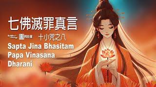 《七佛滅罪真言》十小咒之八【速消業力】 早課必誦不可思議佛能量 Sapta Jina Bhasitam Papa Vinasana Dharani