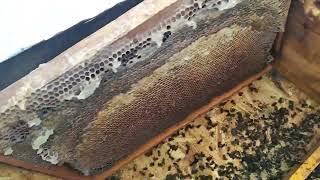 Смотрим причину гибели семьи!!!а оно старо как мир.....
