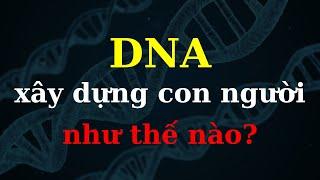 DNA là gì? - Sinh Học - tập 11 | Tri thức nhân loại