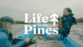 Life in the Pines | Teaser Trailer #1