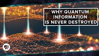 Why Quantum Information is Never Destroyed