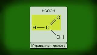 24. (В-У). Муравьиная, уксусная, щавелевая и жирные кислоты. Особенности свойств