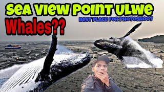 Sea View Point Ulwe | Sea Facing Flats in Ulwe | Best Place for Photoshoot/Photography | Musafir