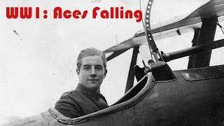 World War One / WW1: Aces Falling