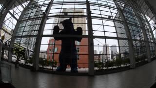 Giant Blue Bear looks into Denver Convention Center