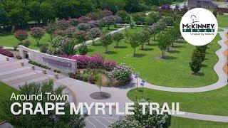 Around Town: Crape Myrtle Trail of McKinney, Texas