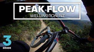 YES, IT'S OPEN! - Peak Flow Mountain Bike Trail (Grade 3 - Intermediate) | Makara Peak, Wellington