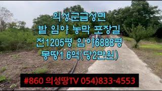 #860 의성땅TV 자두밭 임야 농막 (방2 주방 수세식화장실) 창고 거주가능 8093평 (전1205평 임야6888평) 합1.6억 (당2만) 포장도로 건축가능 #의성땅#의성임야