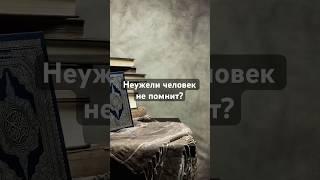 Разве человек не помнит? | #shorts #quran #ислам #религия #коран #хадисы