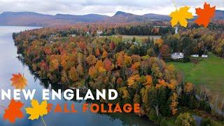 Spent a Month Chasing New England's Fall Foliage and Found the TOP Spots!