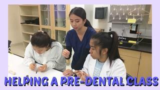 Volunteering at a Pre-Dental Class: First Year Dental School || Brittany Goes to Dental School