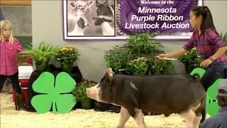 Julia Bowman | Washington County | Champion Purebred Berkshire Barrow