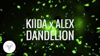 KIIDA x ALEX - Dandelion [Skink]