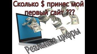 Мой первый сайт и сколько я на нем заработал??? Как будет выглядеть сайт у новичков?