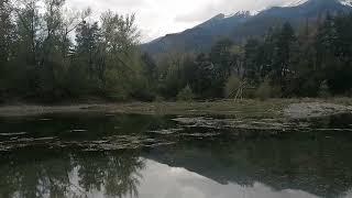 Cardio Relax at Nature - Pond View - Forest Sounds, Birds