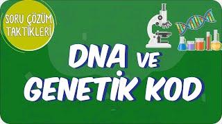 DNA ve Genetik Kod Soru Çözüm Taktikleri | 2021 LGS Kampı