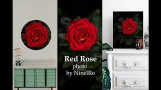 Floral Photo Wall Art and Decor Ideas