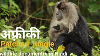 Patched jungal - हिंदी डॉक्यूमेंट्री ! Africa wildlife documentry in Hindi