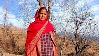 Beautiful Village Life Of Charoaudi And Chaparu Villages️ In Jammu Kashmir