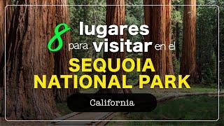 Los MEJORES 8 LUGARES del SEQUOIA NATIONAL PARK | CALIFORNIA