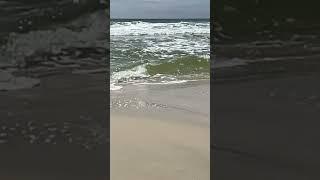 Discover The Gulf